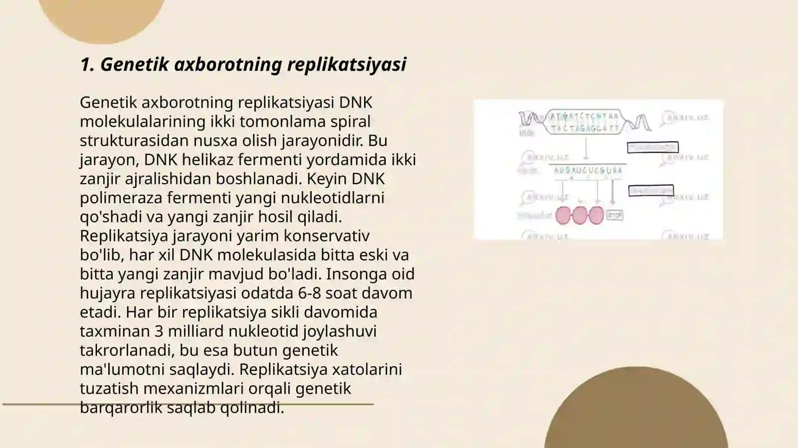 Hujayrada oqsil biosintezi 3