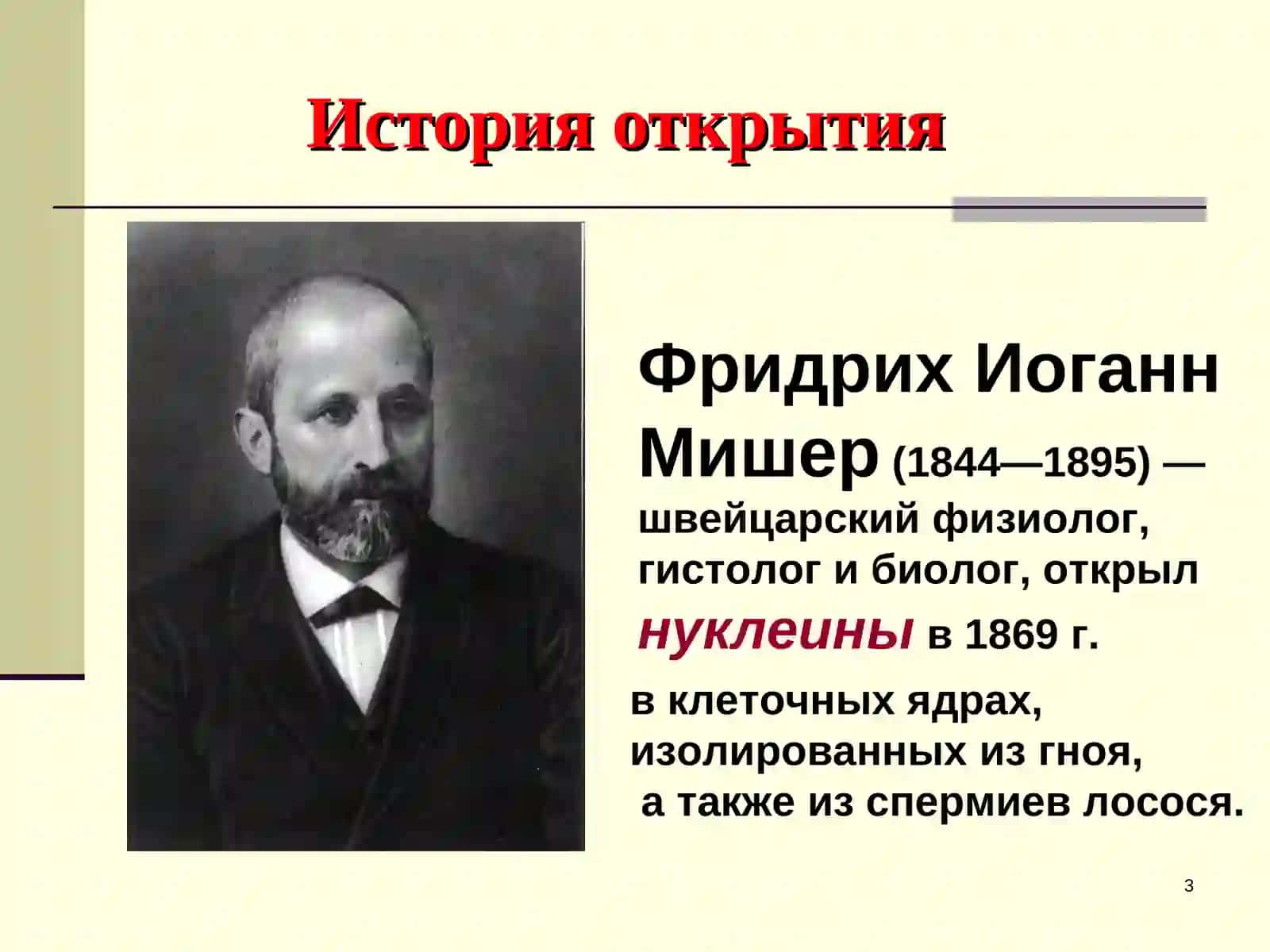 Нуклеиновые кислоты 3