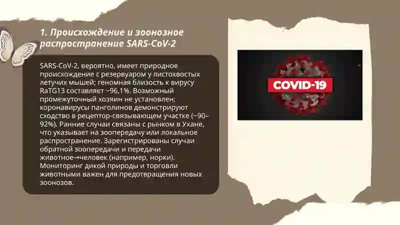 Covid-19 3