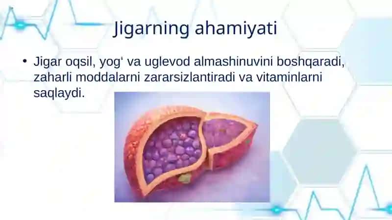 JIGAR GISTOLOGIYASI 3