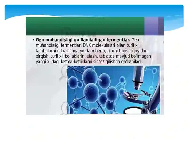 Gen muhandisligida qo`llaniladigan fermentlar 3