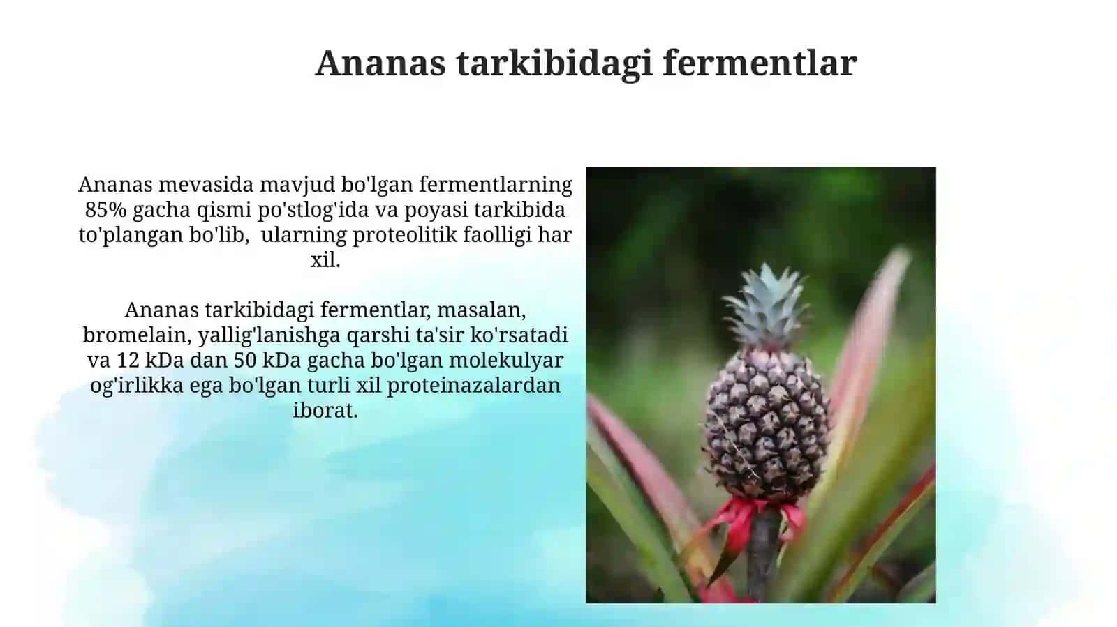Ananas o'simligining shifobaxshligi va tarkibi 3