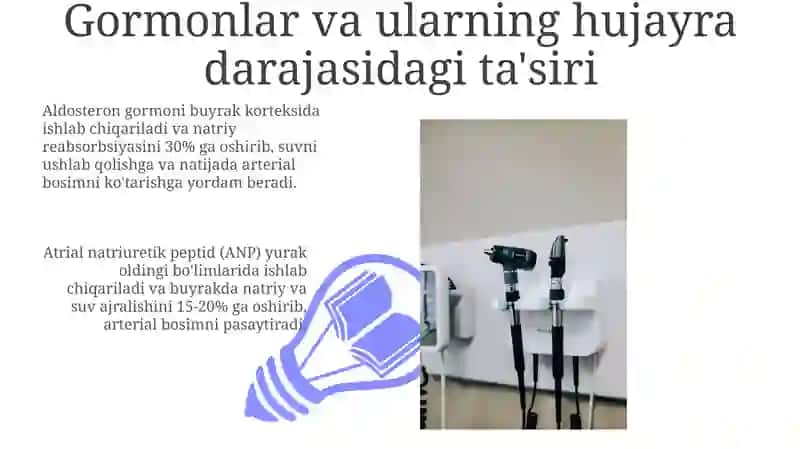 Arterial bosimning boshqariluvda hujayralarning roli 3