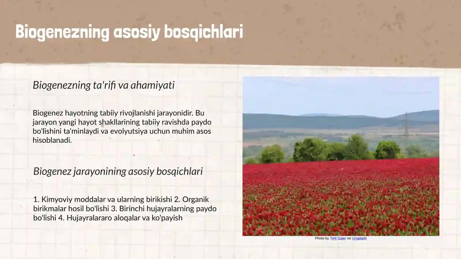 Biogenezning asosiy bosqichlari 3