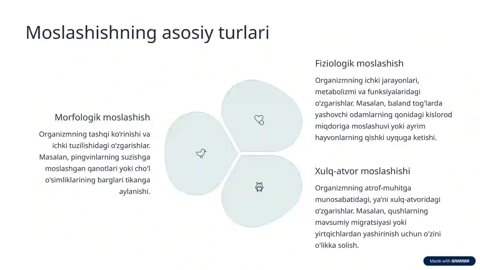 Organizmning moslashishi va uning bosqichlari 3