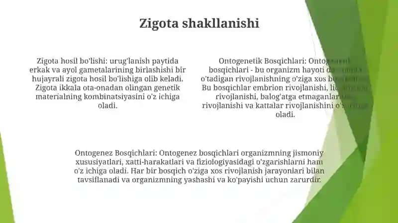 Ontogenez Bosqichlari 3