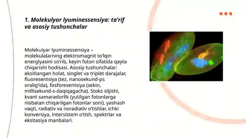 Molekulyar lyuminessensiyaning asosiy qonunlari 3