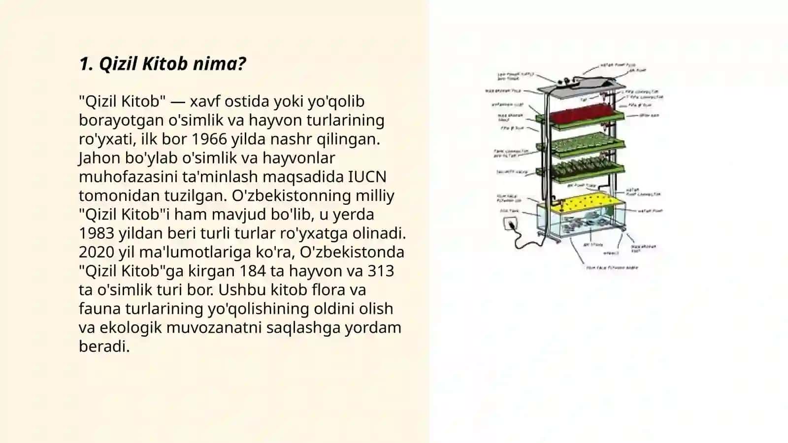 Qizil Kitob 3