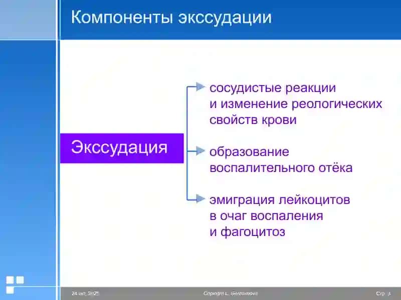 Патофизиология Воспаление 3