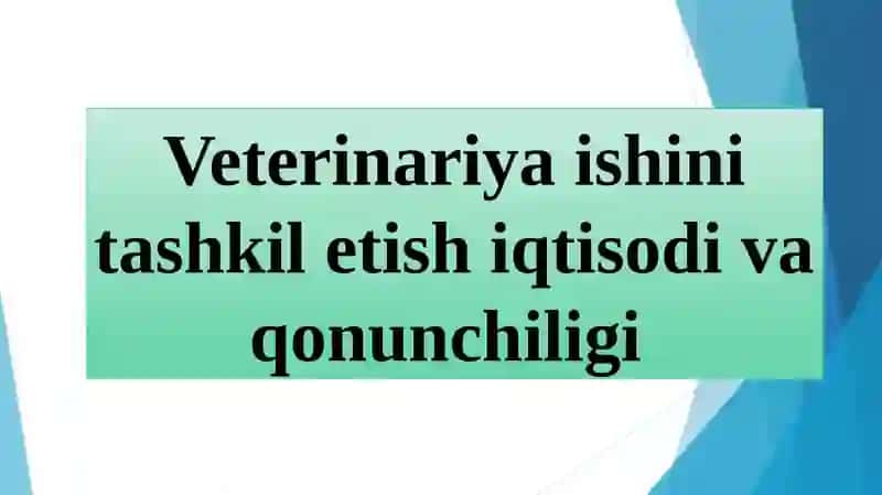 Veterinariya Profilaktikasi va Davolash Taqdimoti 3