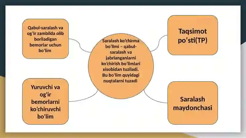 Tibbiy bo'linmalar 3
