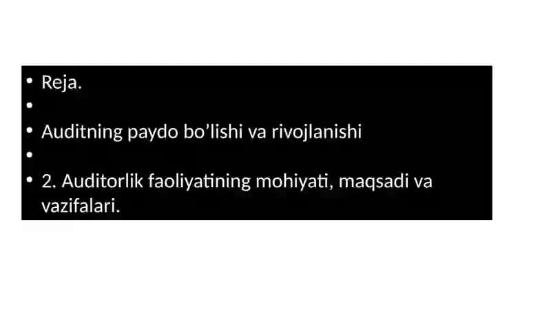 Auditning paydo bo’lishi va rivojlanishi 3