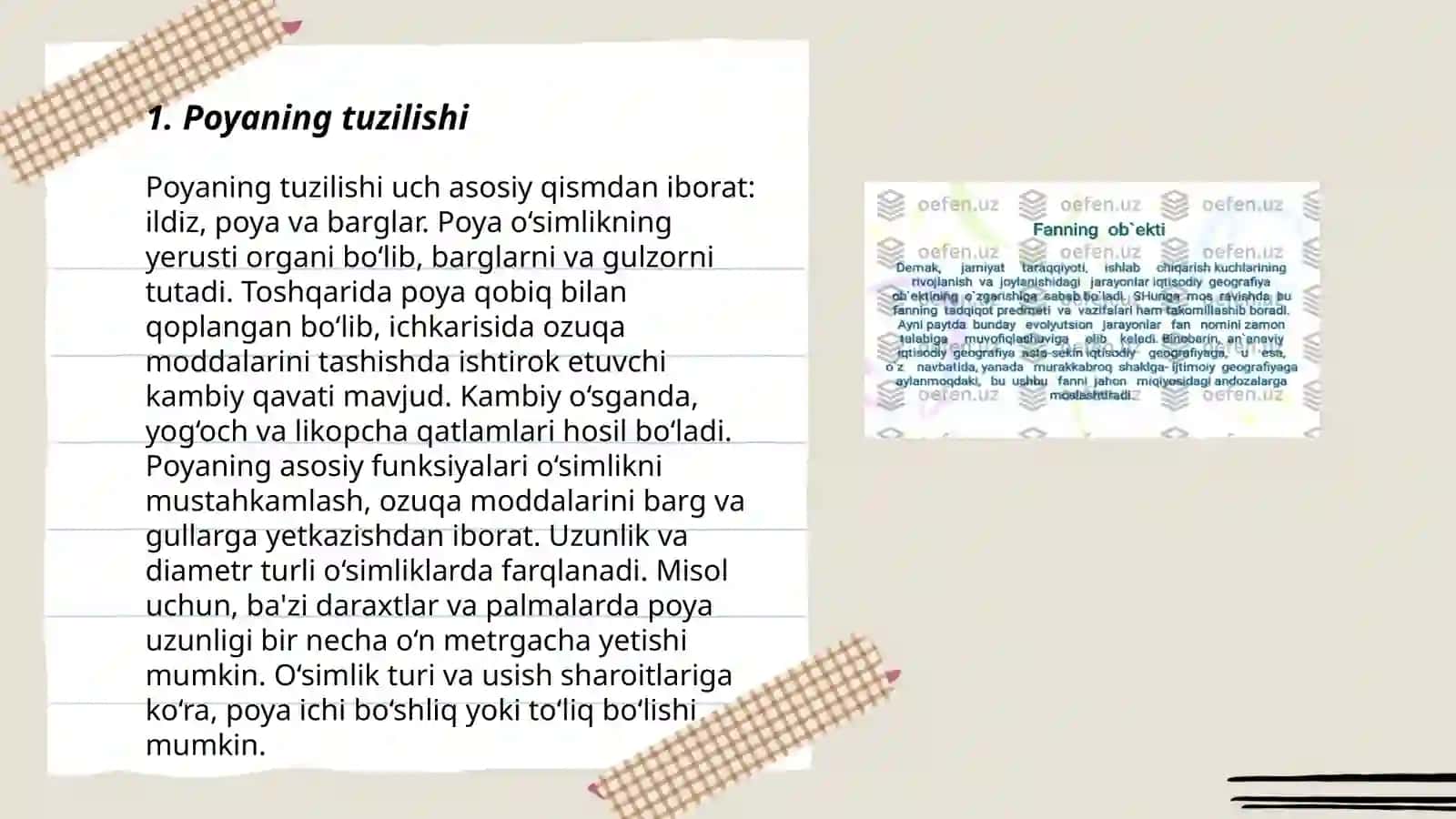 Poya va uning vazifalari 3