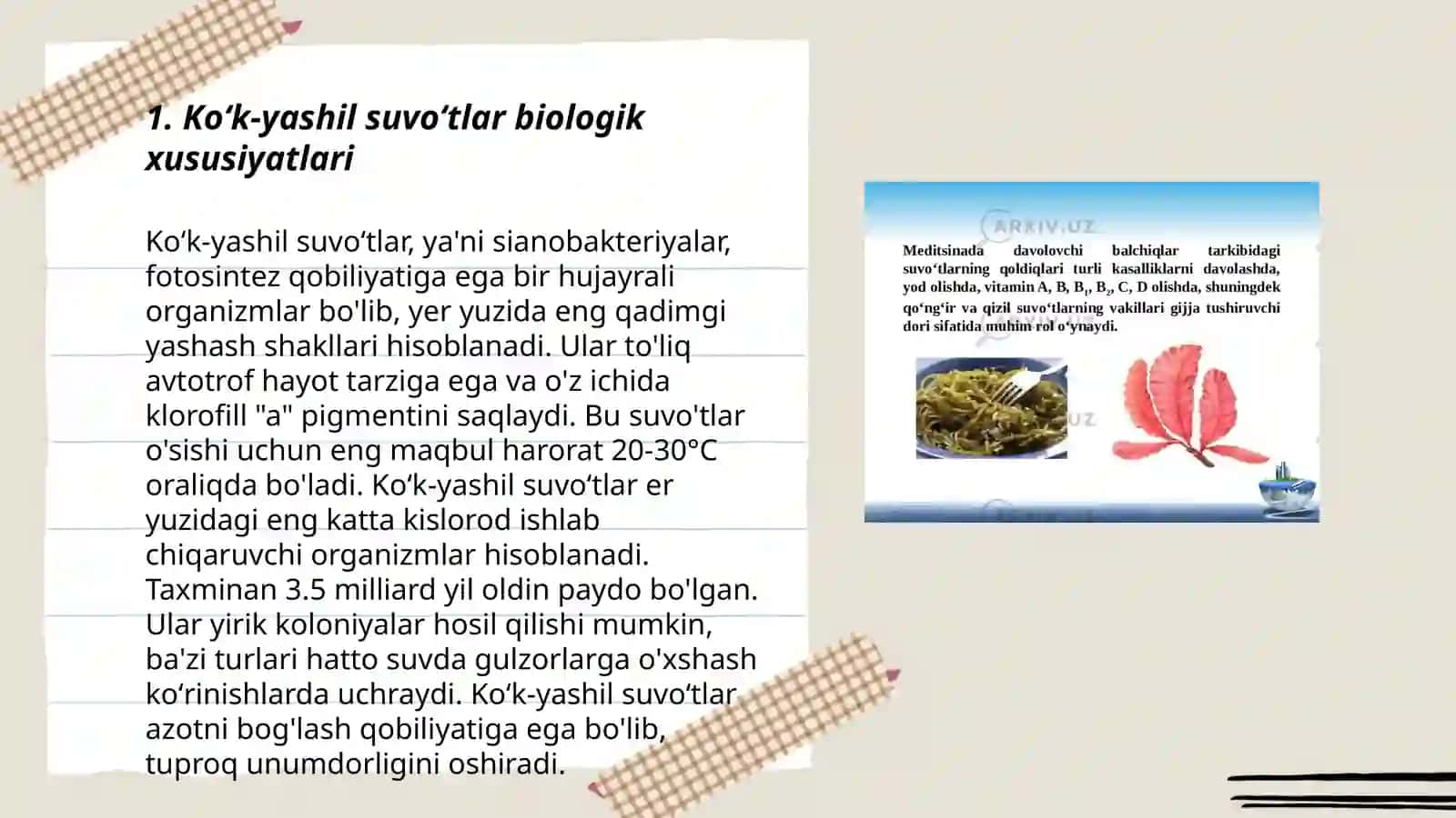 Koʻk-yashil va yashil suvoʻtlari ahamiyati 3
