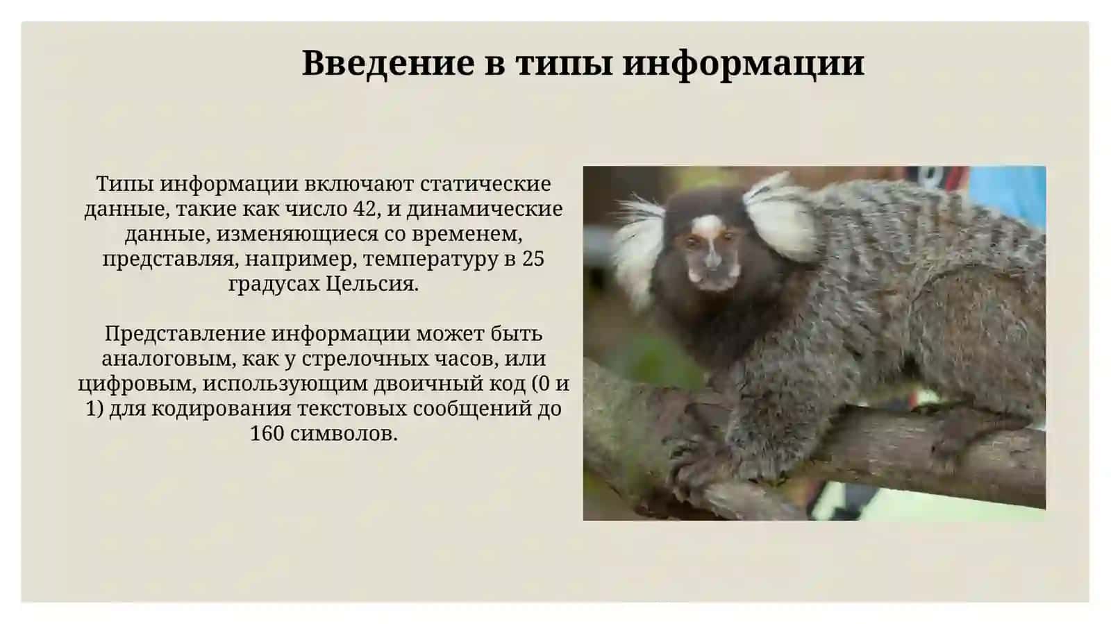 Виды информации. Информация в современном мире 3