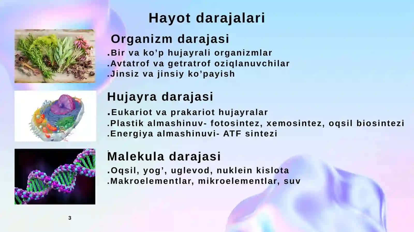 Hayotning tuzilish darajalari 3