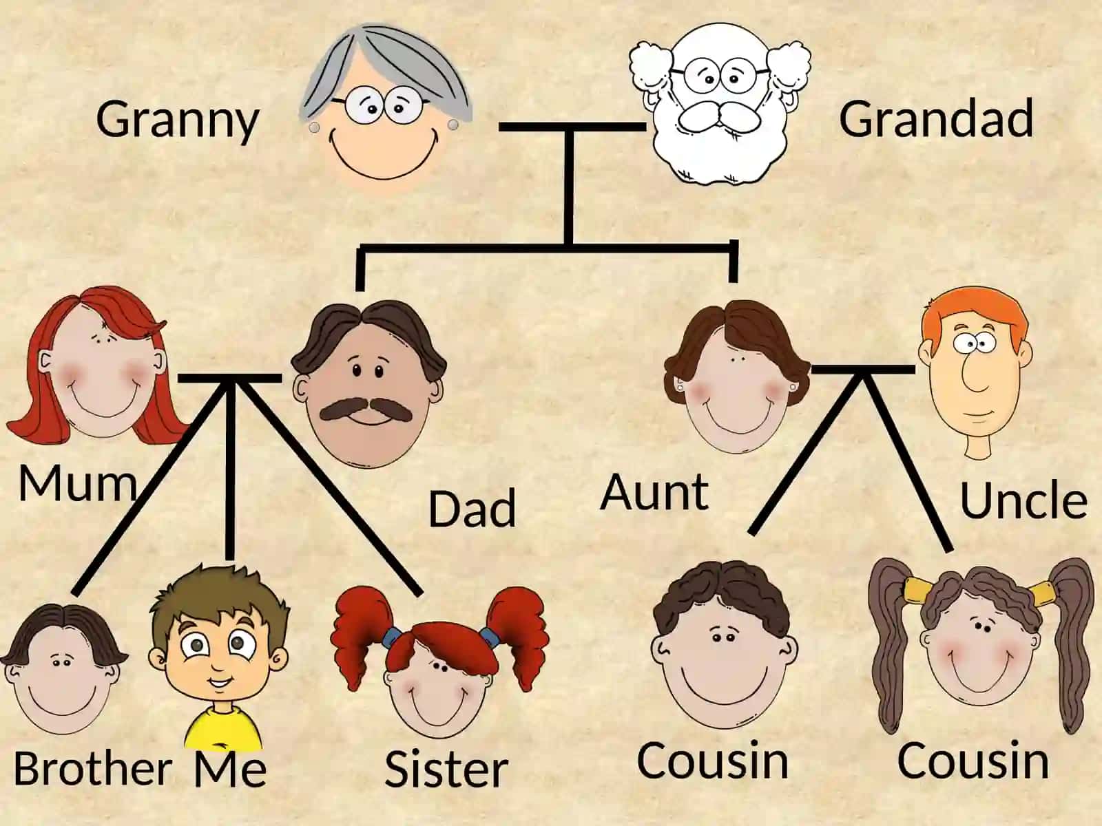 MY FAMILY TREE 3