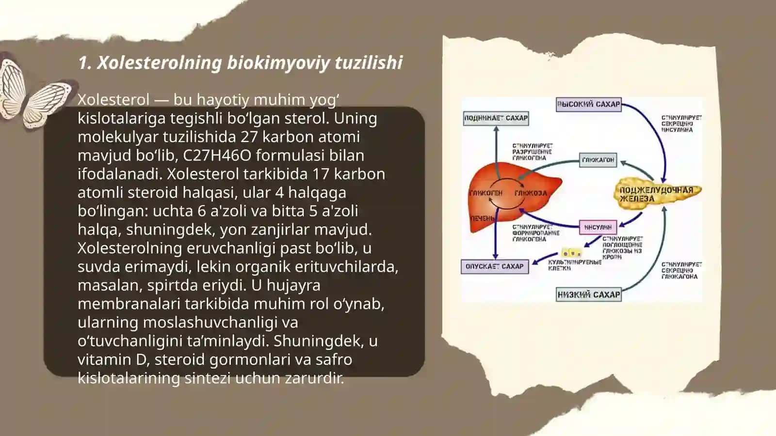 Xolesterol va steroidlar metabolizimi 3