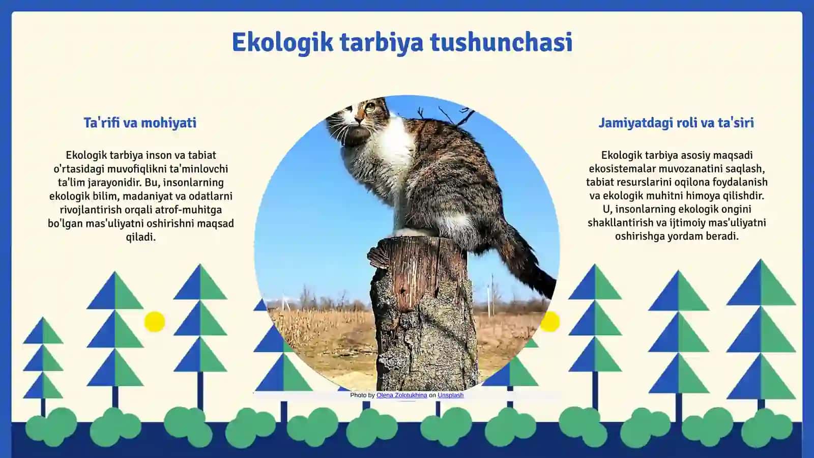 Ekologik tarbiya 3
