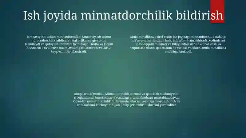 Minnatdorchilik 3