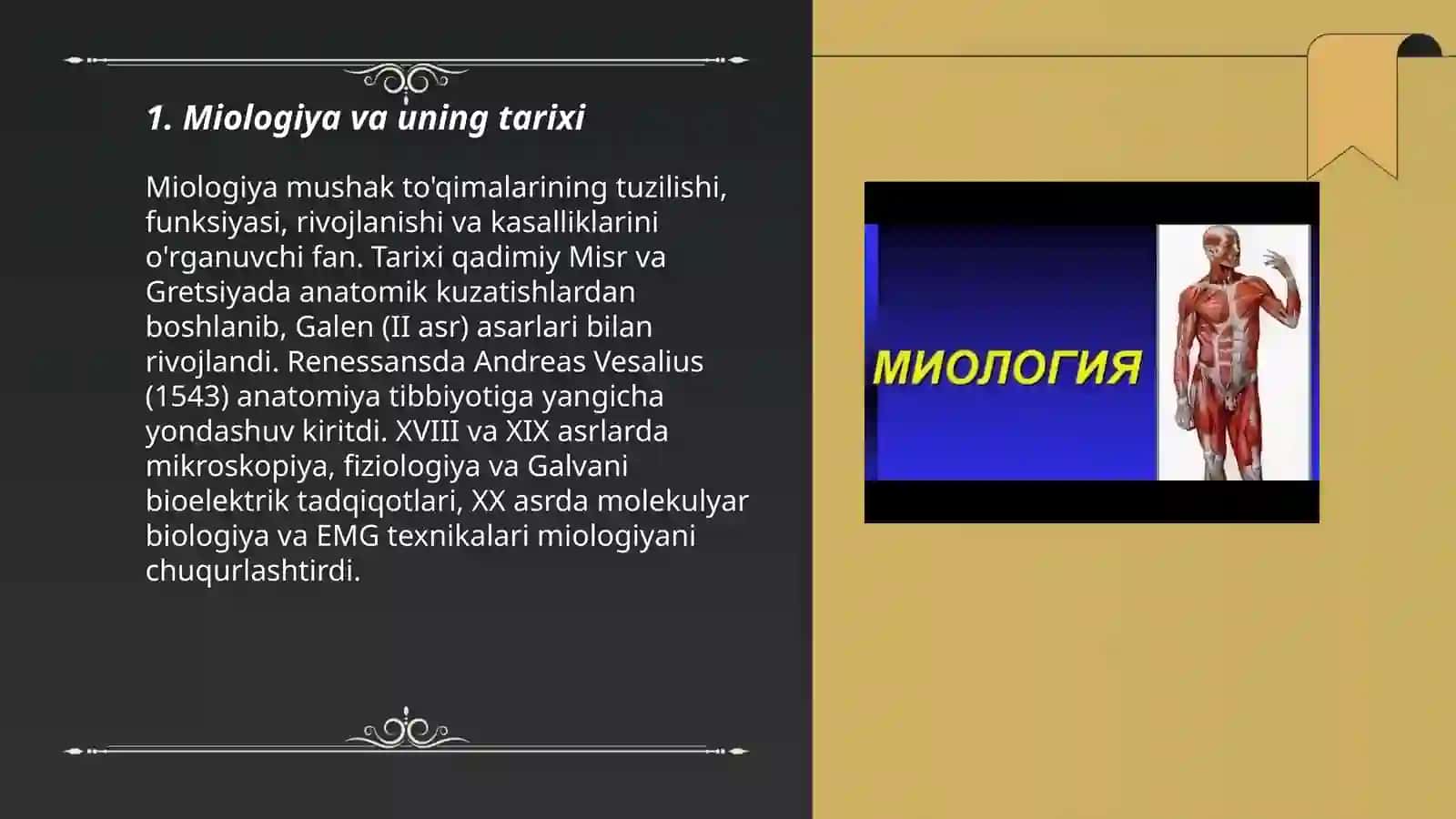 Miologiya 3