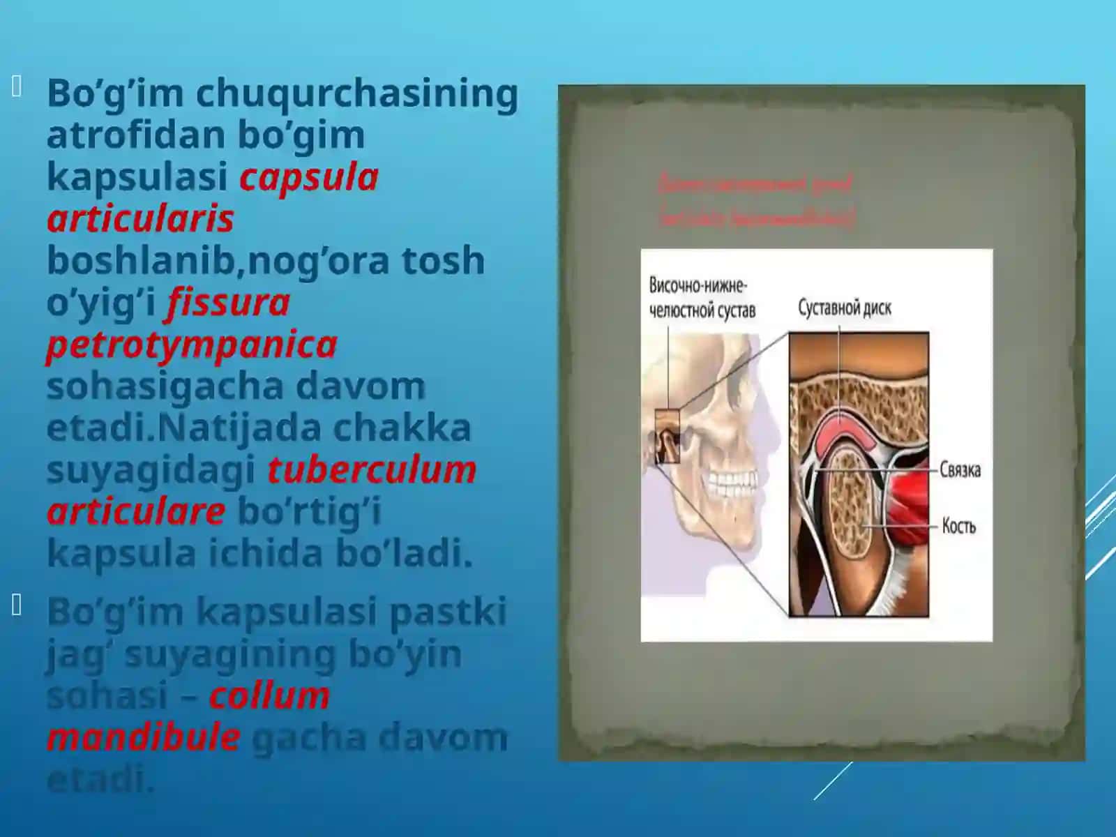 Chakkapastkijag’bo’g’imining(ChPJB)tuzilishxususiyatlari 3