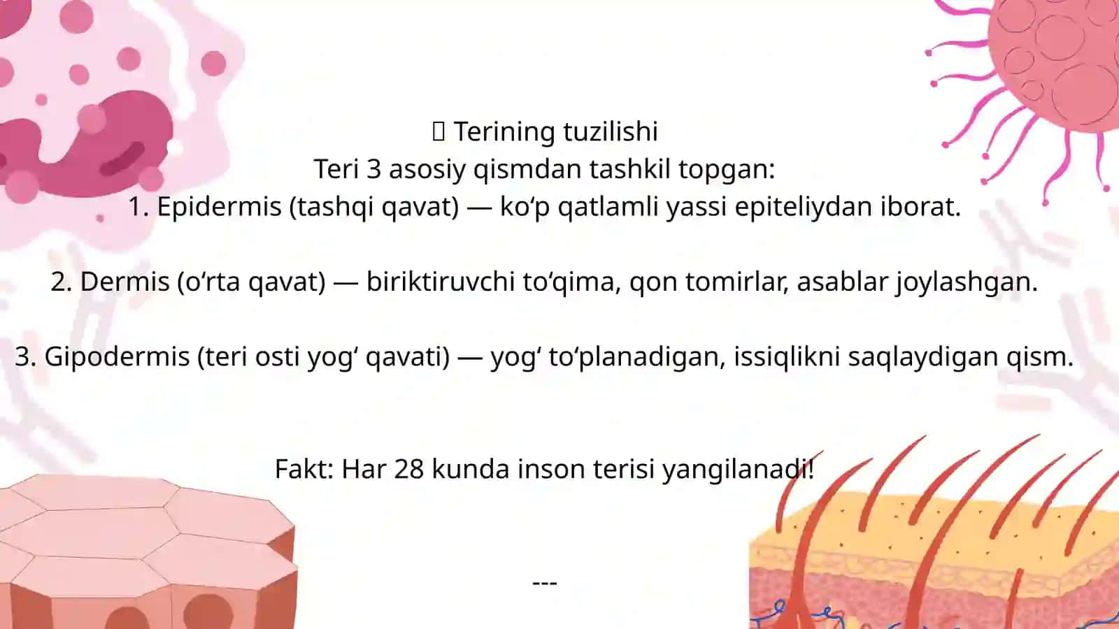 Teri va uning hosilalari: soch, tirnoq, sut bezlari 3