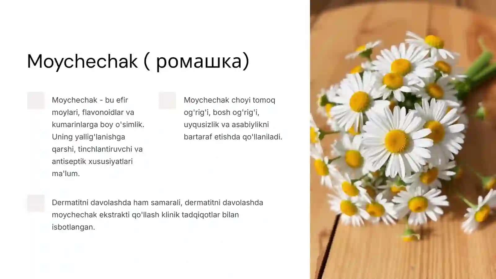 Moychechak 3