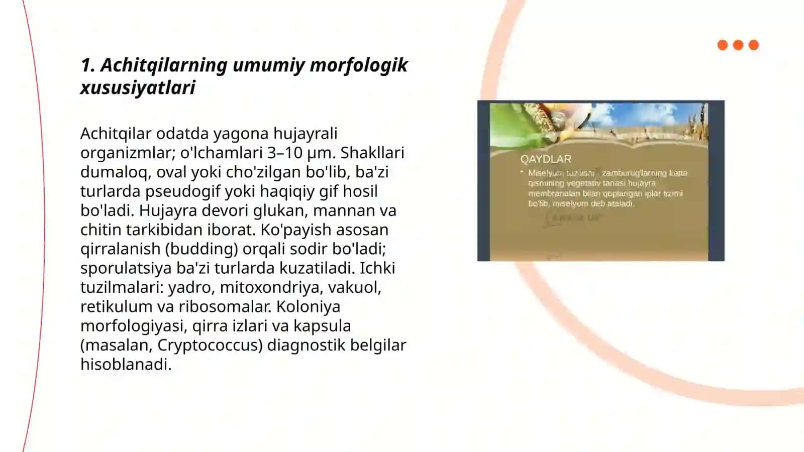Achitqilarning morfologiyasini oʻrganish 3