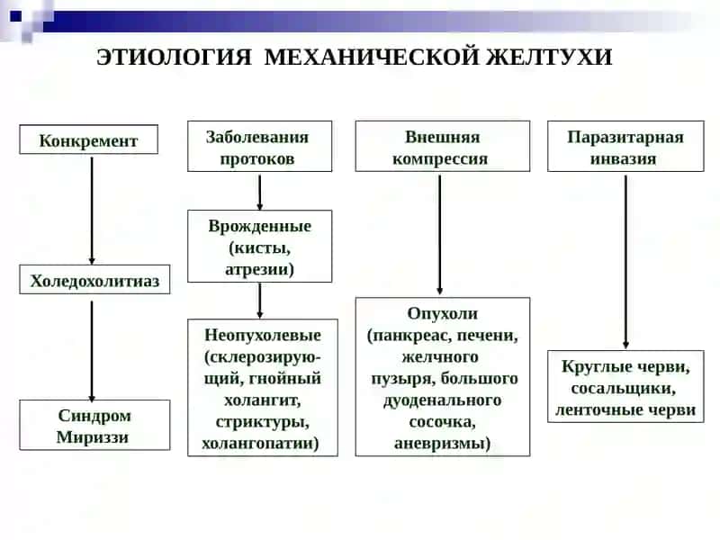 МЕХАНИЧЕСКАЯ ЖЕЛТУХА 3