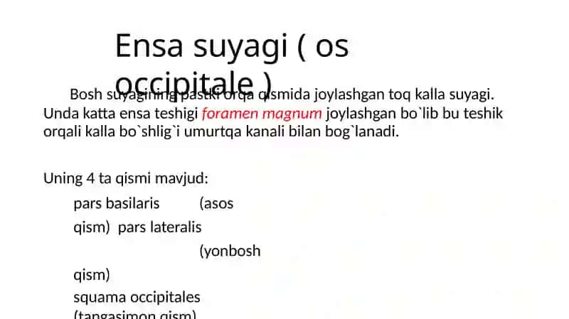 Ensas, peshonavatepasuyaklari 3