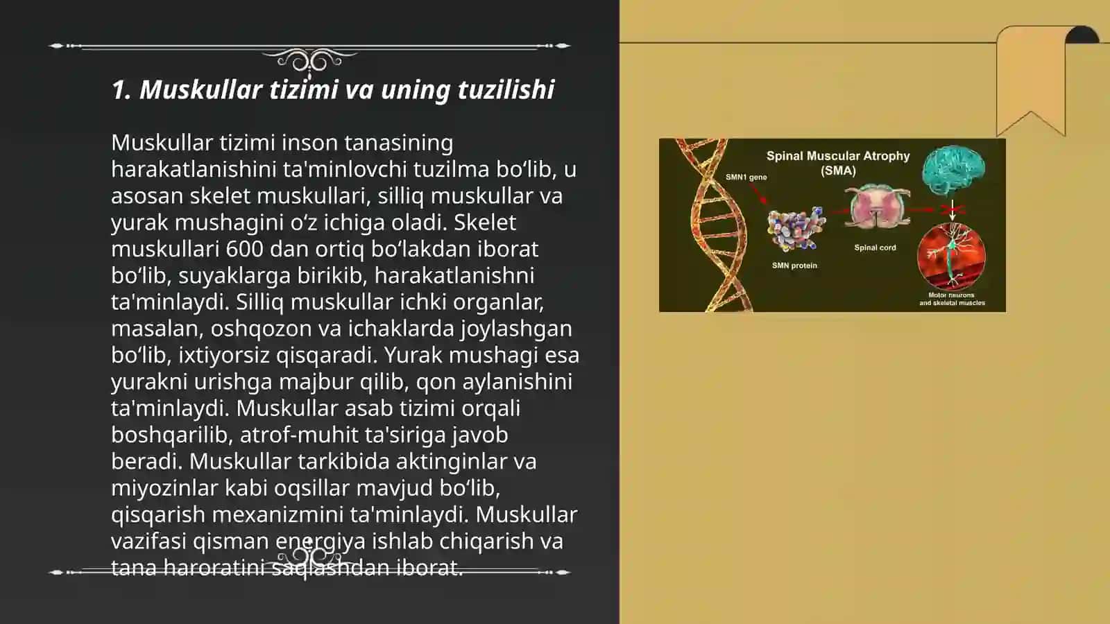 Muskul qisqarish apparat oqsillari 3