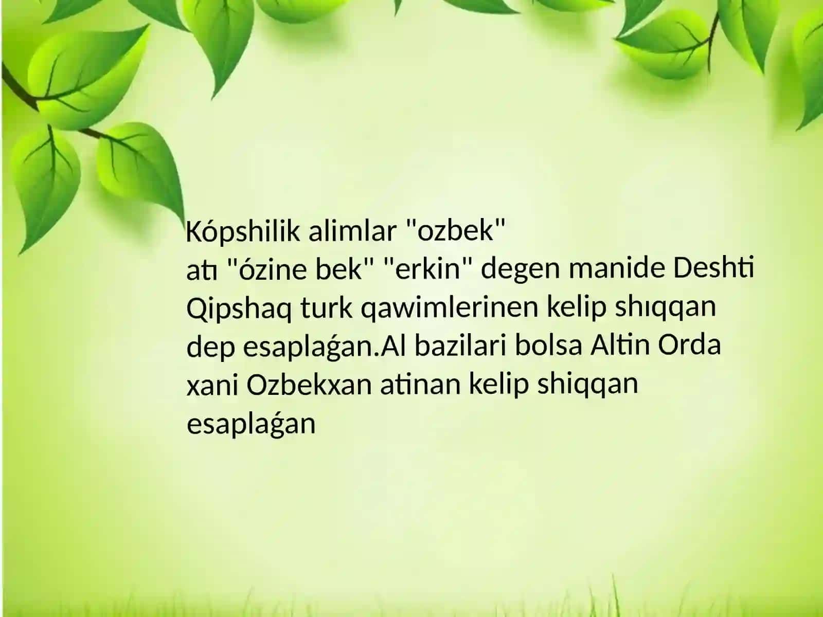 O'zbek atamasi haqqında pikirler 3