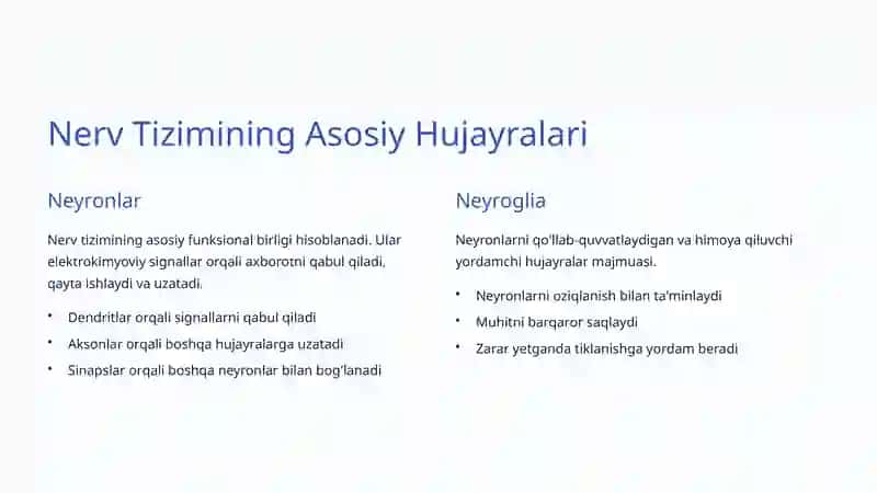 Nerv Tizimi: Tuzilishi va Vazifalari 3