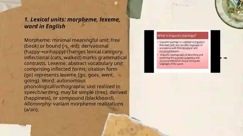 Typology of lexical level 3