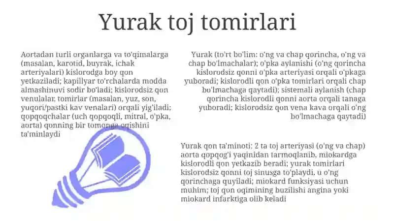 Yurak-qon tomir tizimi tuzilishi 3