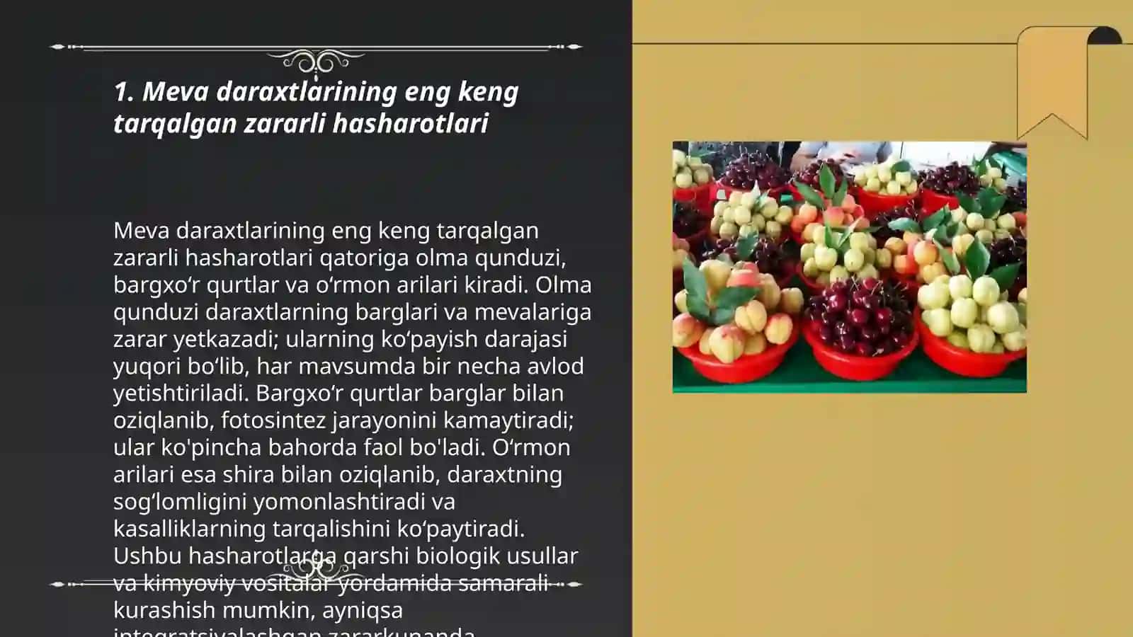 Meva daraxtlarining soʻruvchi zarar kunandalari 3