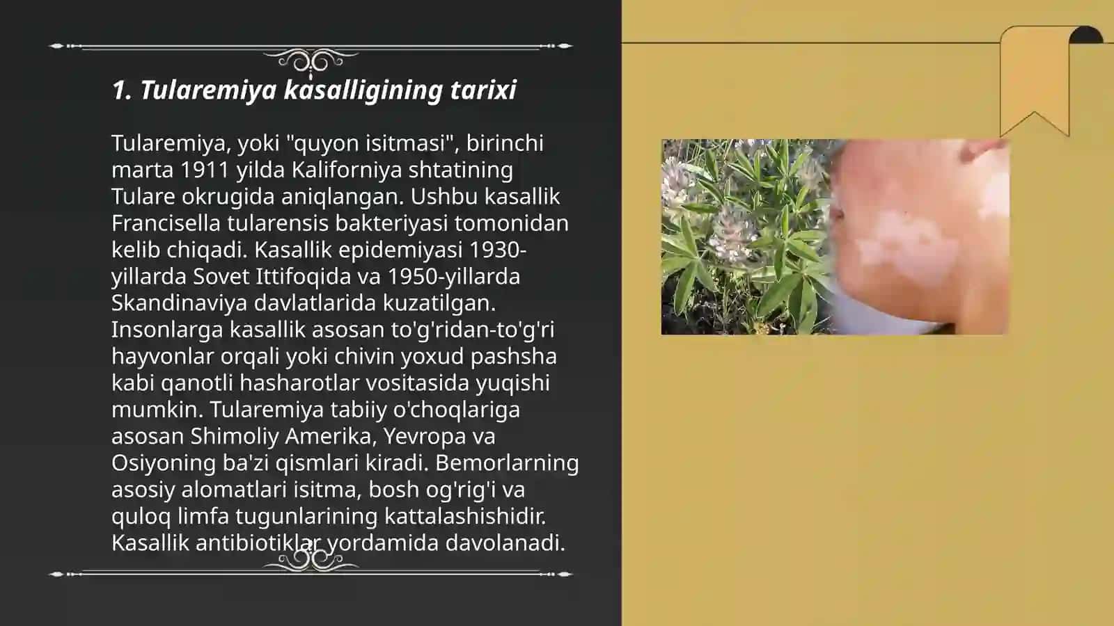 Tularemiya kasalligi 3