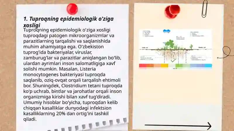 Tuproqning epidemiologik ahamiyati 3