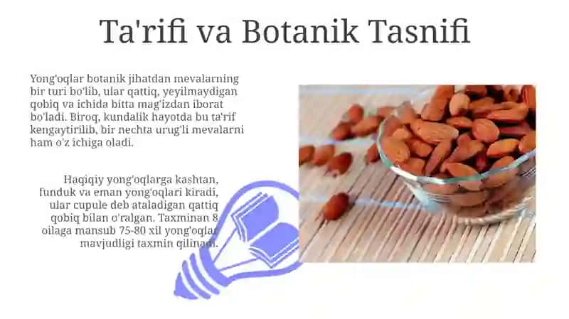 Yong'oqli mevalar navlariga tasnif 3