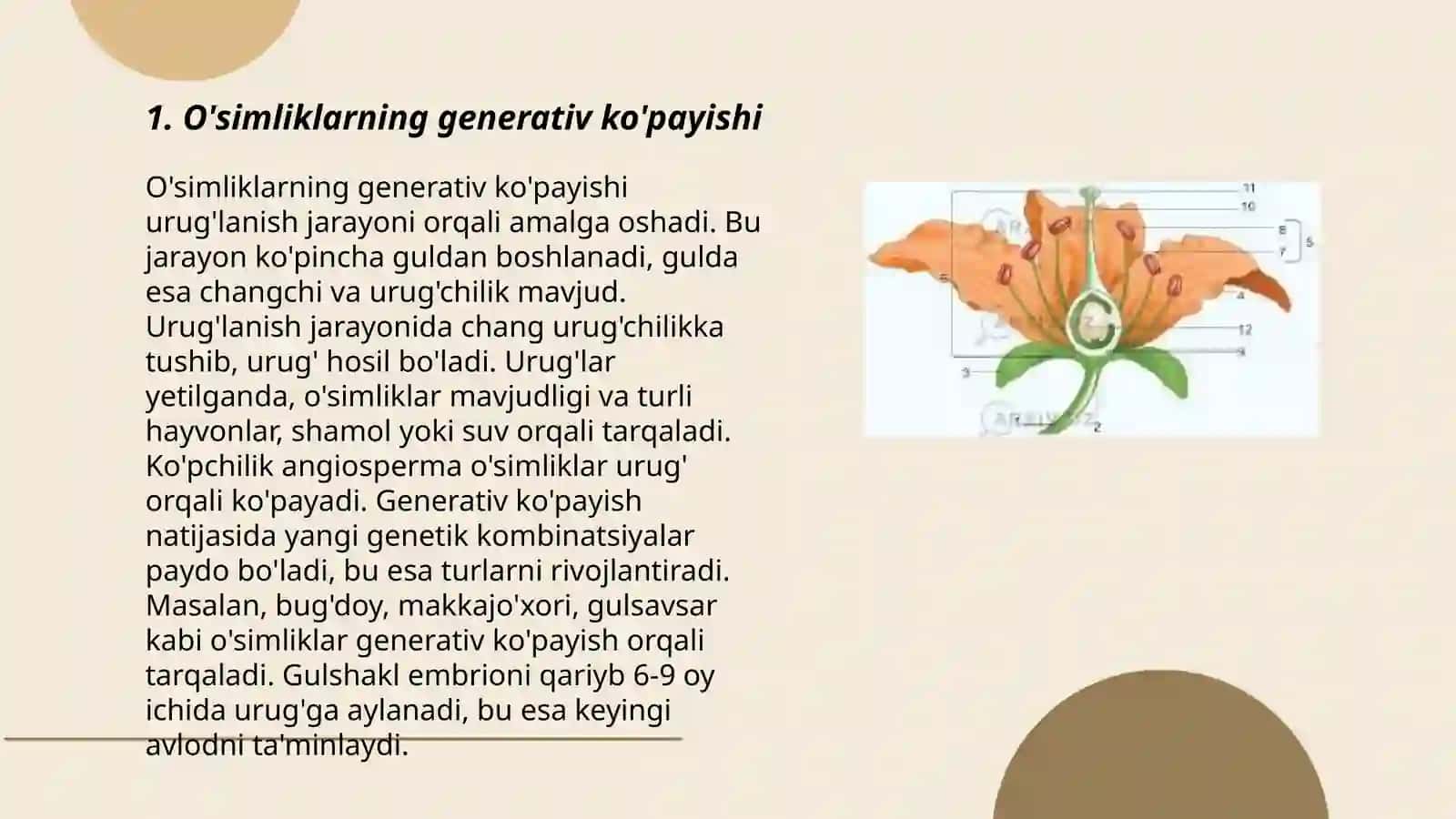 O'simliklarning ko'payishi 3