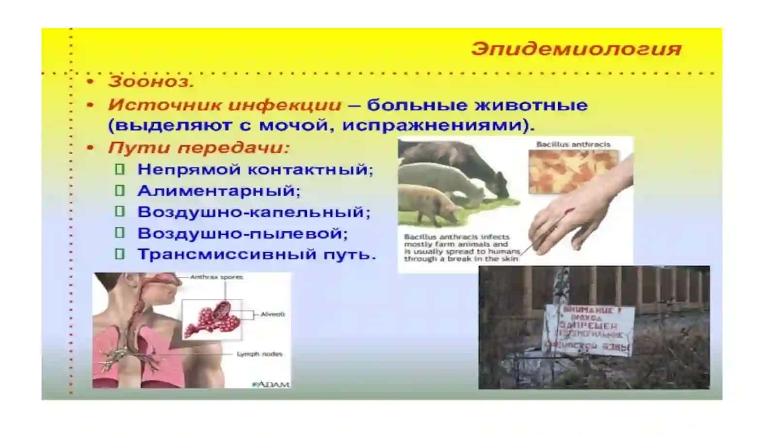 Самостоятельная Работа 3