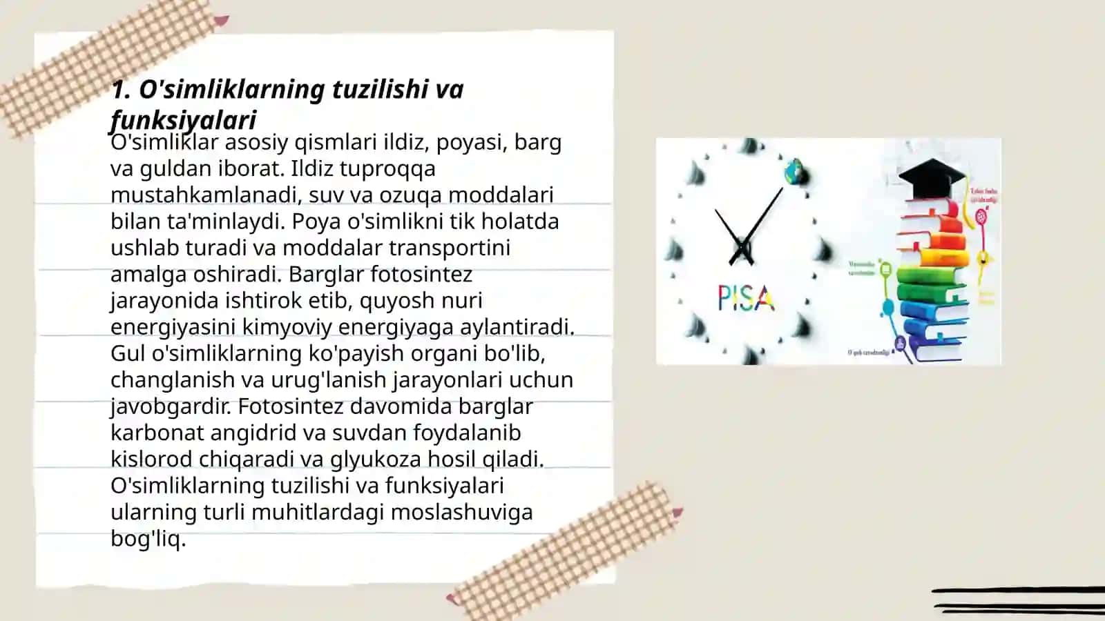 O'simliklarning tuzilishi va funksiyalari 3