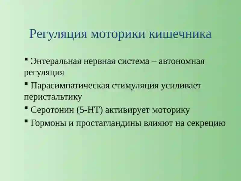Лекарственные средства_кишечник 4