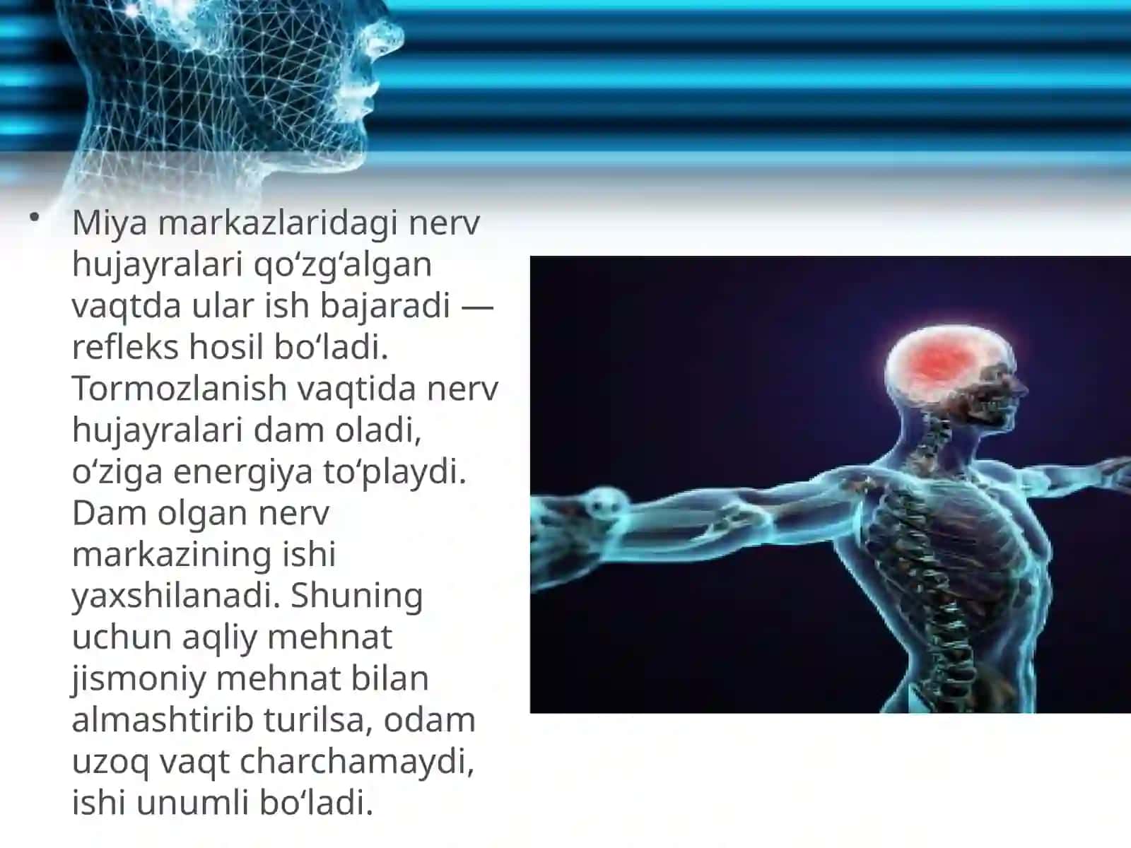 Markaziy nerv sistemasining tormozlanishi 4