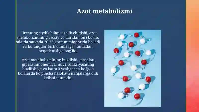 Alohida aminokislotalar almashinuvi 4