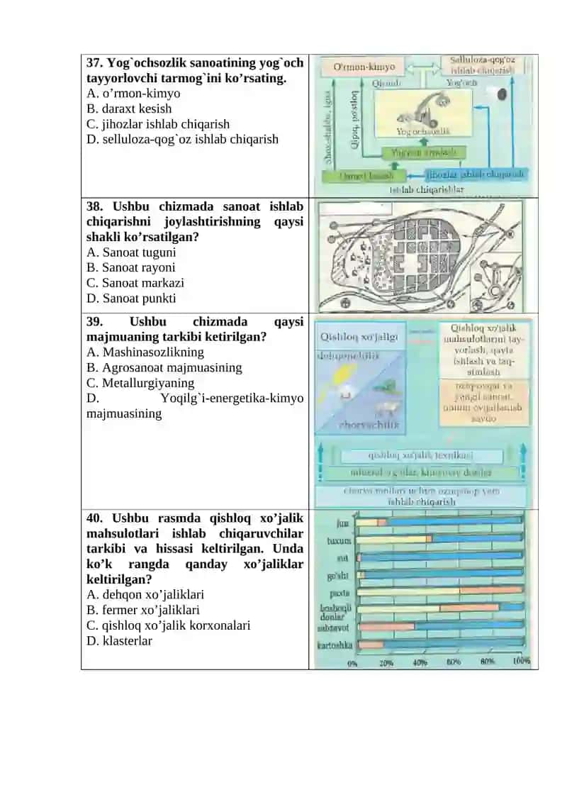 8-SINF PISA TESTLAR 4