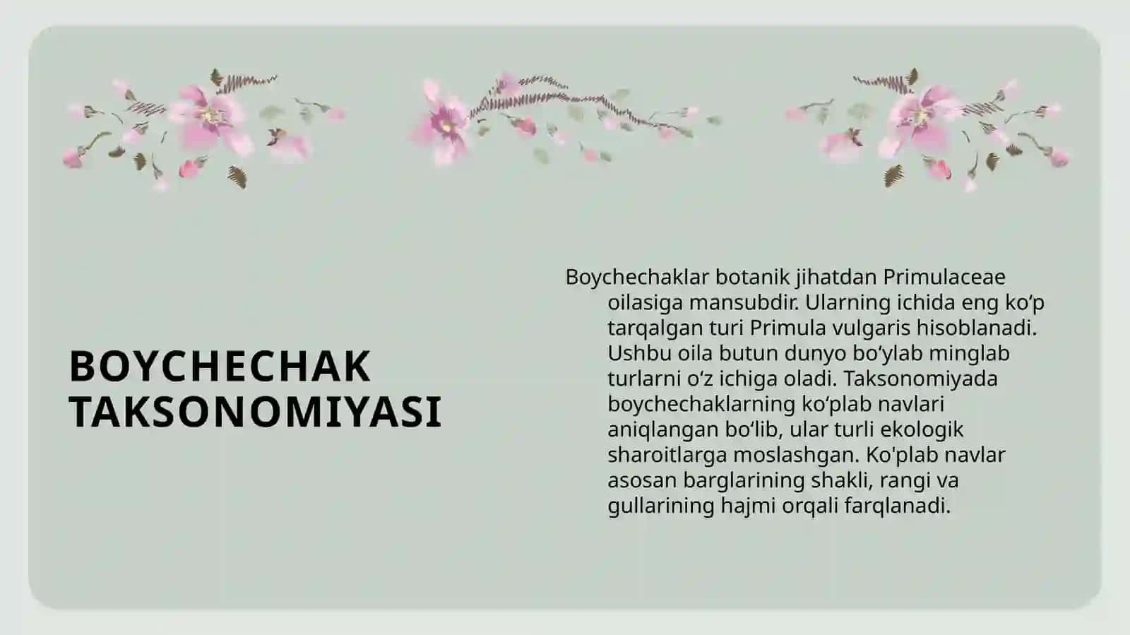 BOYCHECHAK GULLARI 4