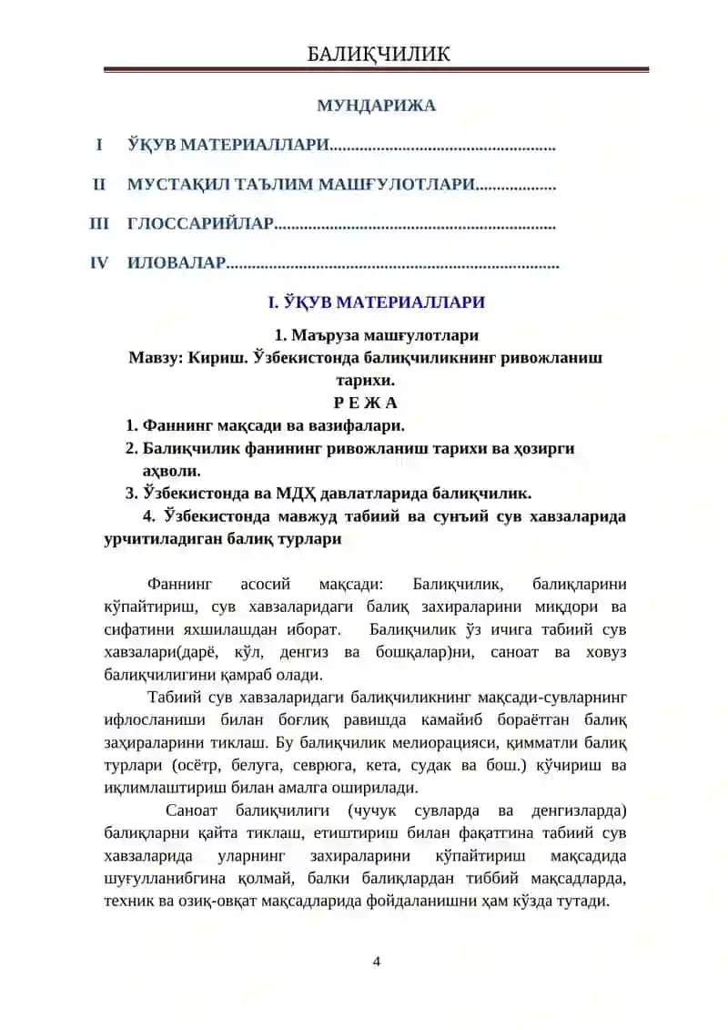 БАЛИҚЧИЛИК 4