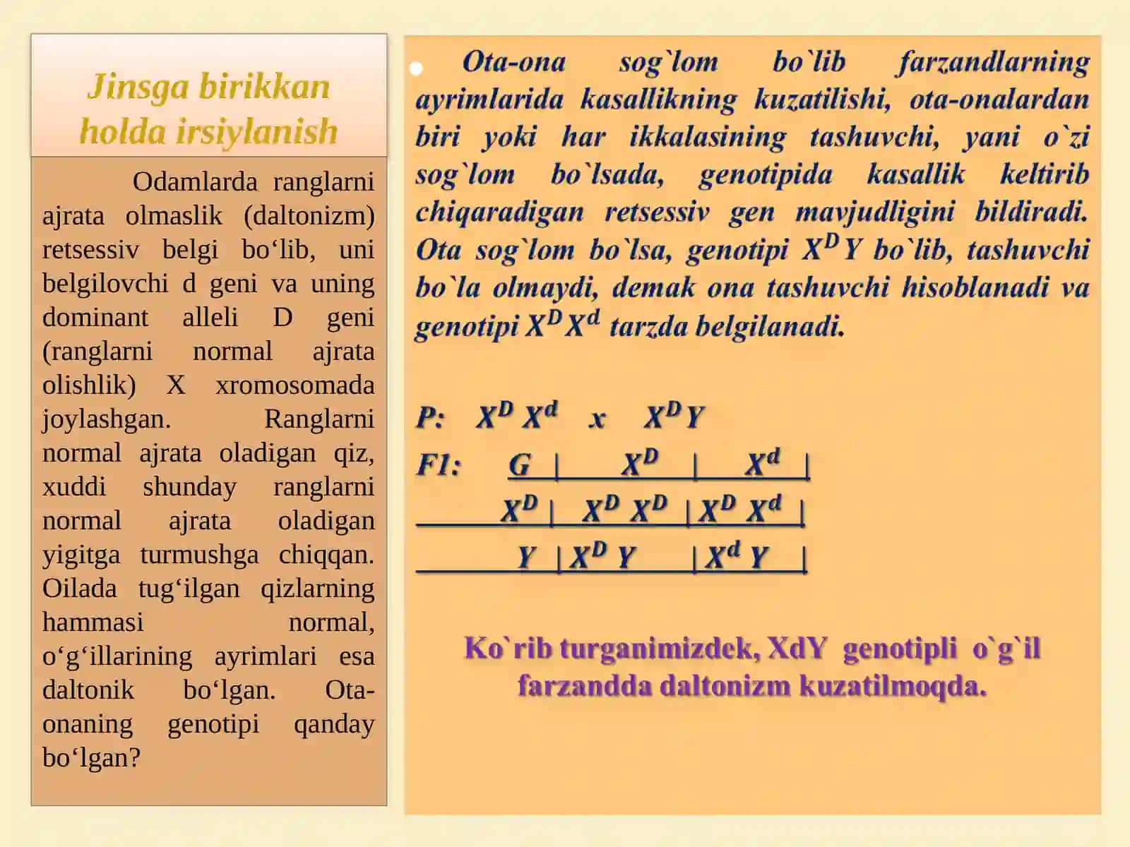 Jinsga birikkan holda irsiylanish 4